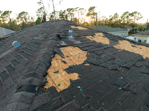 Skylights in Maple Park, IL